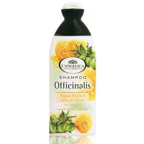 ANGELICA SH. 250ML. NUTRIENTE